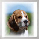 Recherche de beagle impressions sur toile Chiens