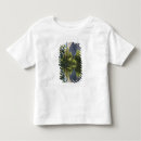 Search for el capitan tshirts Landscape