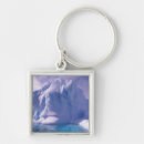 Search for antarctic keychains Glacial