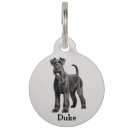 Search for schnauzer dog tags Pet