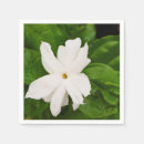 Recherche de jasmin serviettes Fleur