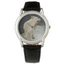 Search for wolf watches Nature