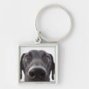 Search for black labrador keychains Pet
