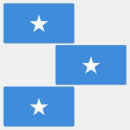 Search for remove stickers Patriot