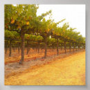 Search for grapevine art Harvest