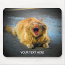 Search for maine coon cat mousepads Kitty