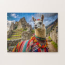 Recherche de costume puzzles Travel