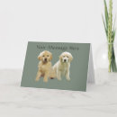 Search for golden puppy cards Retriever