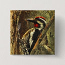 Recherche de pic badges Ornithologie