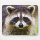 Recherche de raton tapis souris Fourrure