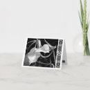 Search for black orchid cards Garden