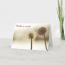 Search for wish photography Pretty