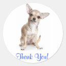 Search for smiling animal stickers Thank you