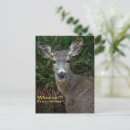 Search for wildlife birthday cards Funny