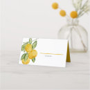 Search for lemon place cards Main squeeze