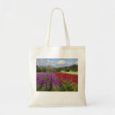 Search for eco bags Books