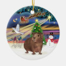 Search for guinea pig christmas decor Pets