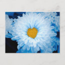 Recherche de teinté cartes postales Fleurs