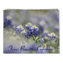 Search for texas bluebonnet Nature photography