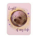 Recherche de caresse magnets Amour