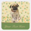 Search for pet pug stickers Watercolor