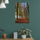 Search for large tree posters Forest