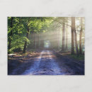 Search for enchanted forest postcards Tree