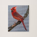 Search for red cardinal bird puzzles Wildlife