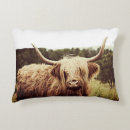 Search for highland cow pillows Country