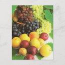 Recherche de fruit prune cartes postales Fruits