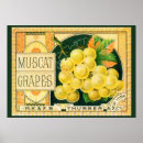 Search for wine label posters Retro
