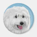 Recherche de berger blanc magnets Dog