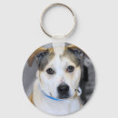 Search for mixed breed keychains Pitbull