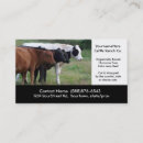 Search for butchering Beef