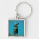 Search for deer antlers keychains Nature