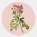 Search for english rose stickers Garden