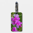 Recherche de orchidées bagages étiquettes Nature