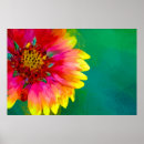 Recherche de couverture indienne posters Roue de feu