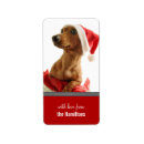 Search for doxie return address labels Puppy