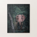 Search for african elephant puzzles Elephants