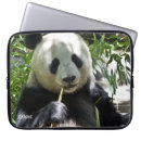 Search for panda laptop cases Bear