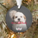 Search for loss pet memorial ornaments Zmemorial