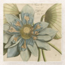 Recherche de fleur lotus dessous de verres Tropical