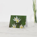 Search for beautiful spring cards Bloom
