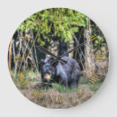 Recherche de ours noirs posters Amoureux des animaux