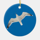 Search for seagull ornaments Wildlife