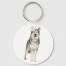 Search for alaskan malamute keychains Puppy