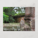 Recherche de angkor cartes postales Bouddhisme