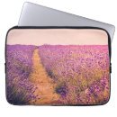 Search for lavander electronics Flower