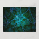 Search for nerves postcards 3d
